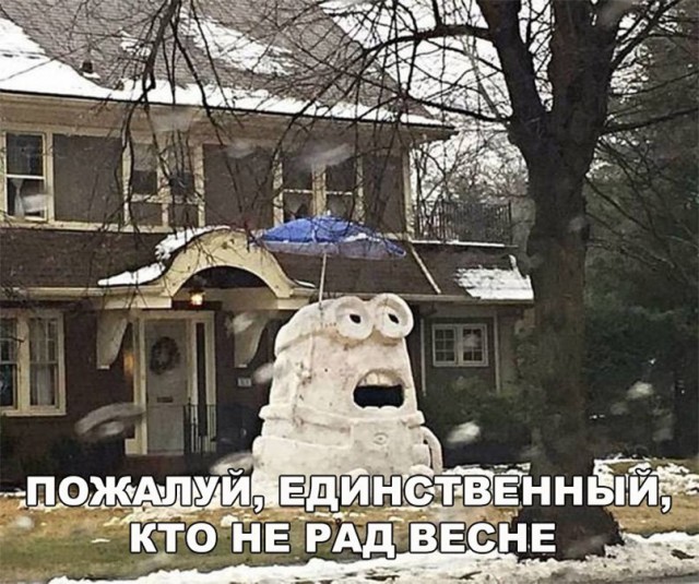 Нестандартный юмор
