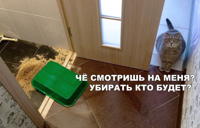 Немного милоты