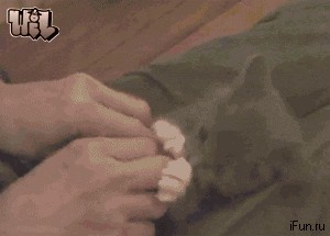 Няшка
