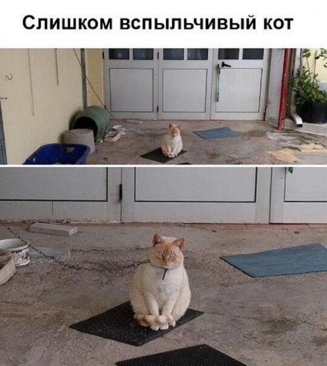 Подборка интересных и веселых картинок 07.05.19