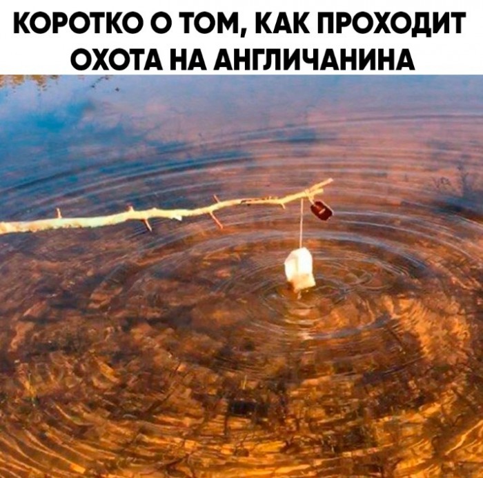 Альтернативная реальность