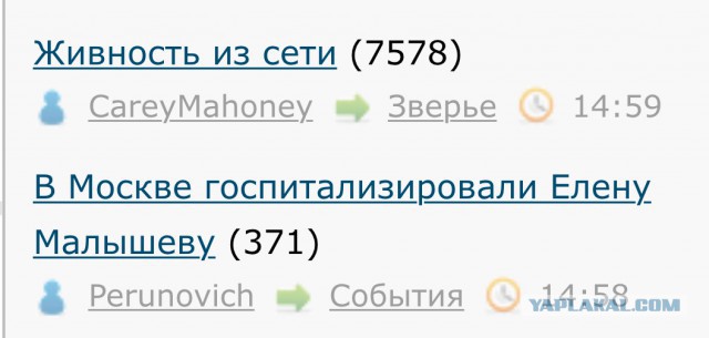 В Москве госпитализировали Елену Малышеву