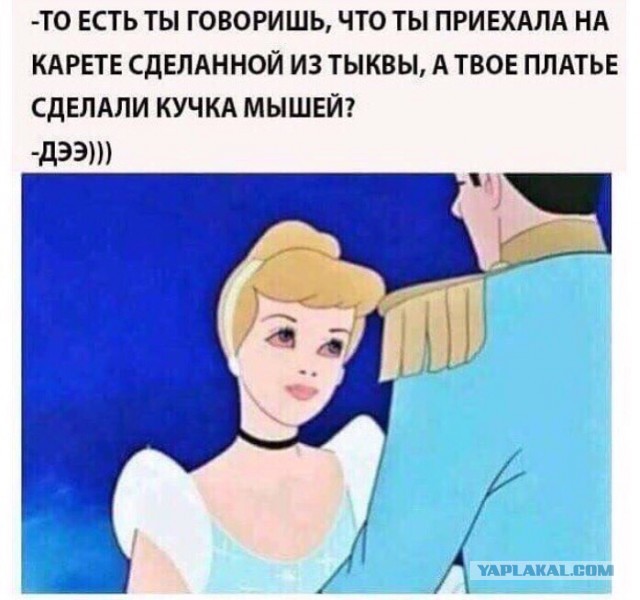 Чуток картинок 15.02.20