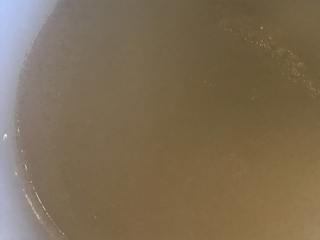 Суточные щи