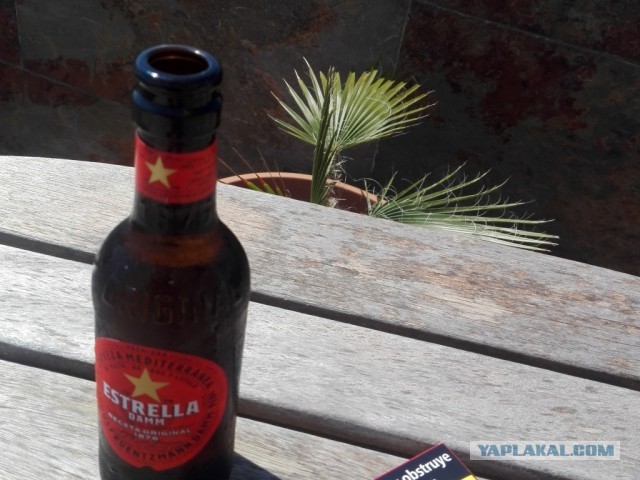 Треска с попугаями