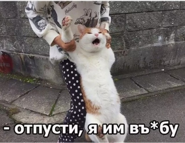 Зачем нужен муж в городе в 21 веке? Давайте теперь рубанем правду.