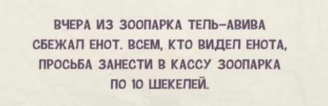 15061941.jpg