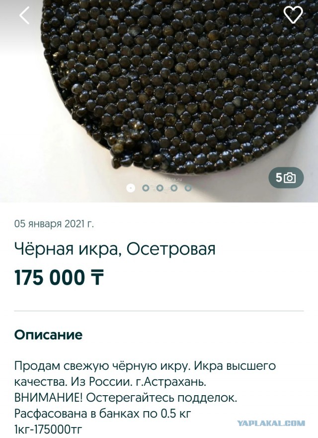 Просто икра белуги из Астрахани