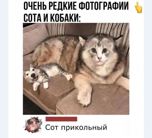 Картинки и мемы для настроения 009