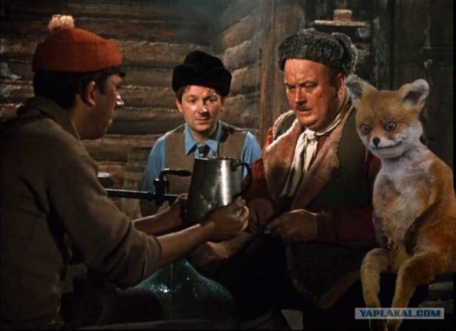 Таксидермия + наркомания