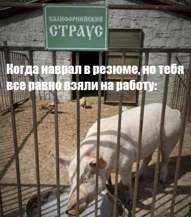 Смешные картинки
