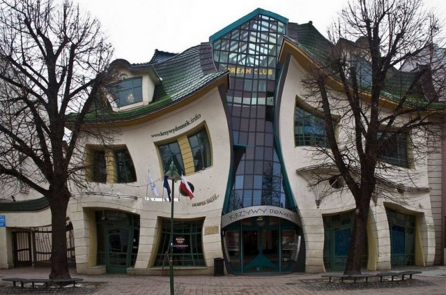 А лягушат не хотите ли?