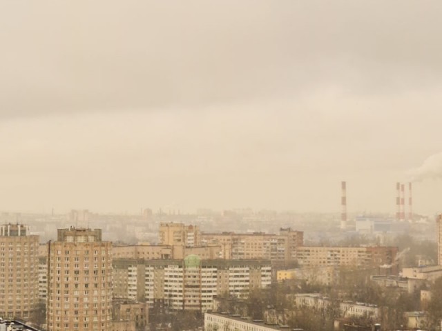Жиза
