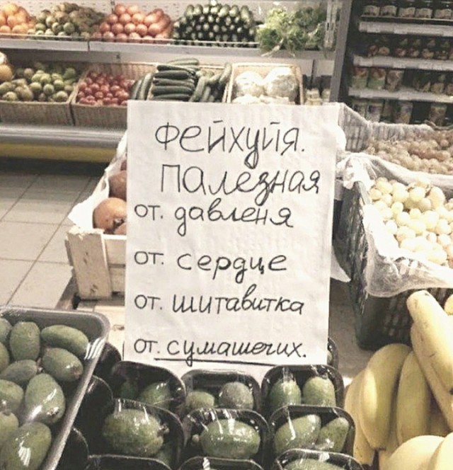 Абъяевленя и вивискы. Учителям русского языка лучше не смотреть