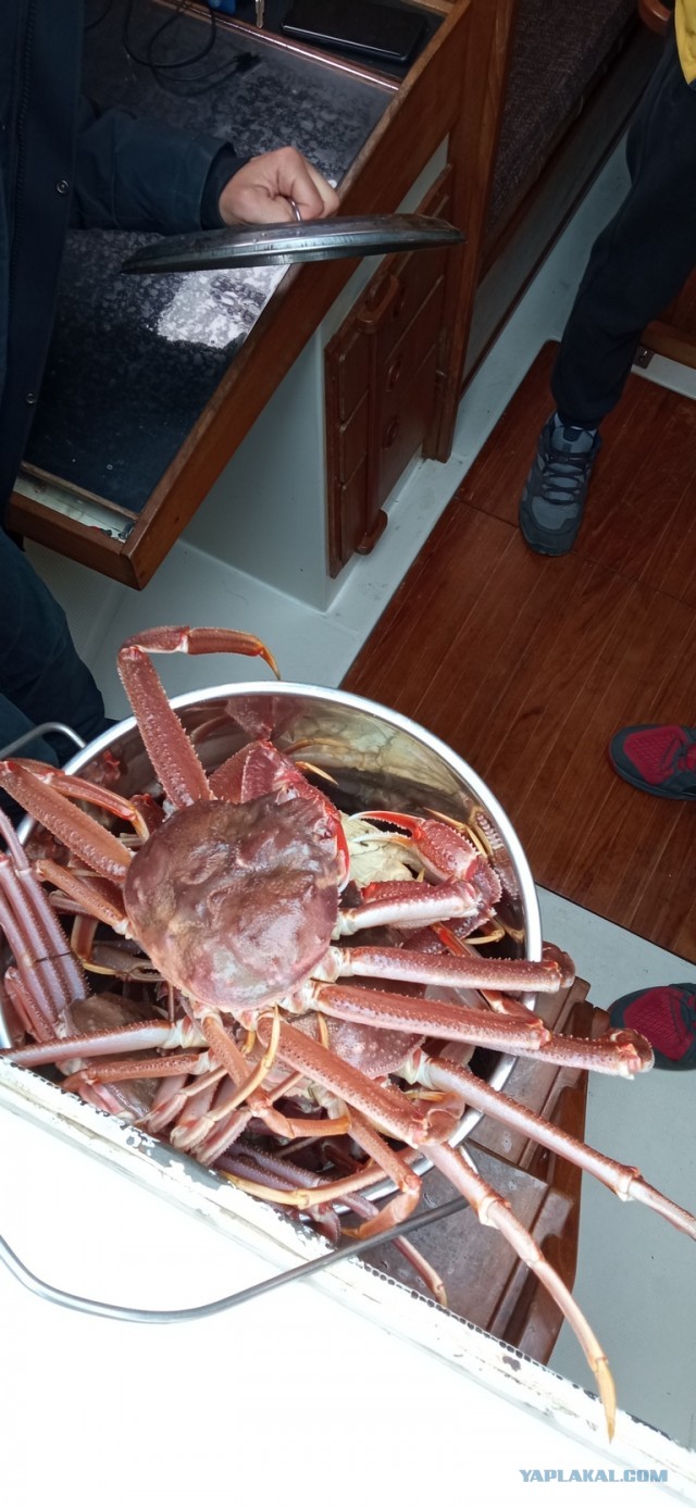 Образцовая пятница