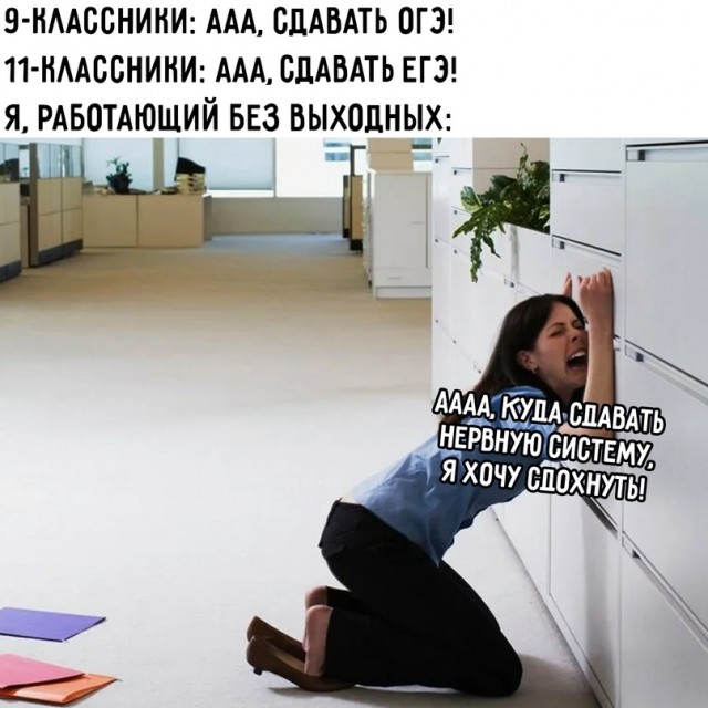 Весёлый полтишок 15.08