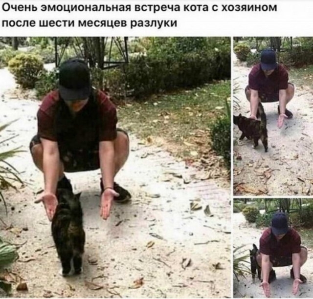Картинки и мемы обо всём 27.09.2021