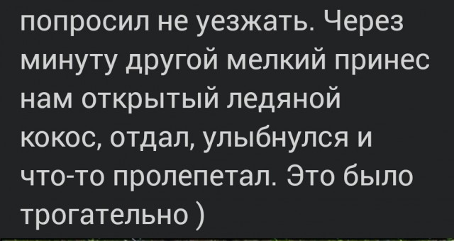 Решил без истерики - слетать до Америки! Отпуск в Доминикане