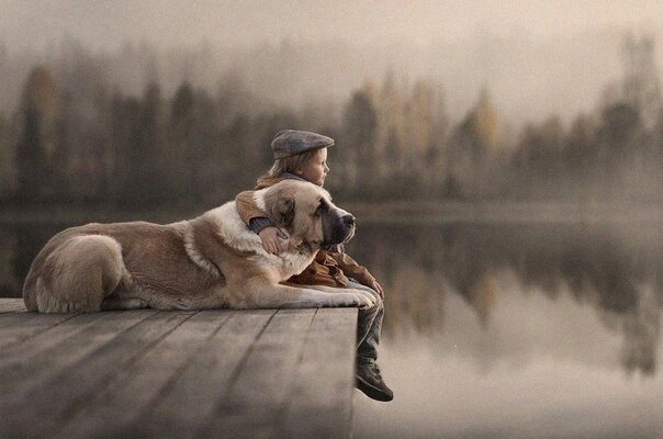 Чуток картинок 31.01.22