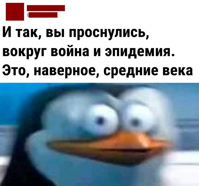 16499941.jpg