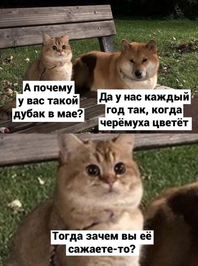 Пандемия. Коронавирус и съехавшие крыши. Россия и мир. Часть 35