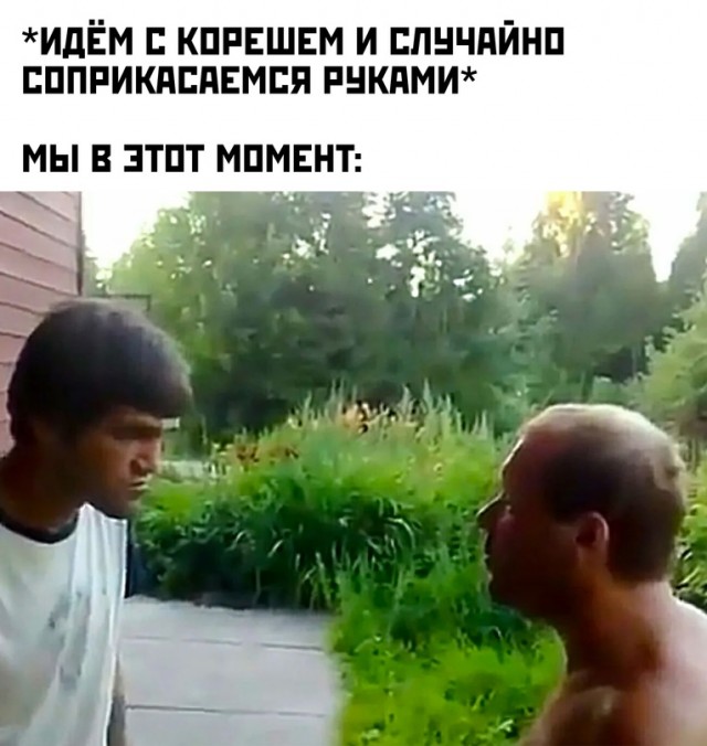 Весёлый полтишок 15.07.22