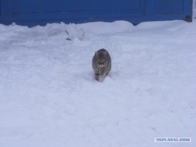 Велопутешествие по Крыму