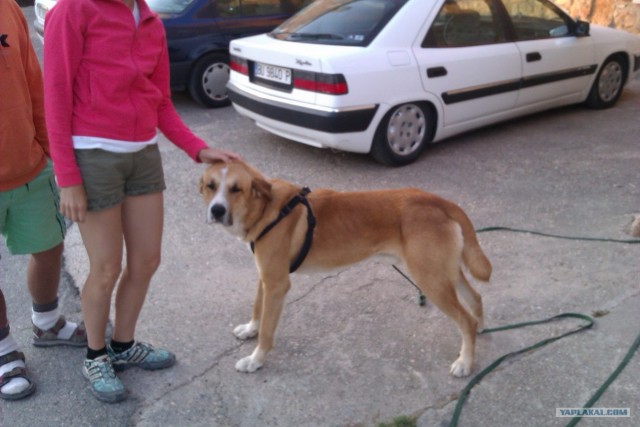 500 км. по Испании пешком