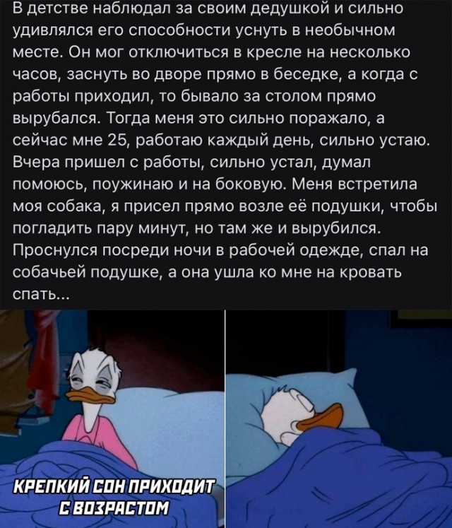 Весёлый полтишок 01.09.22