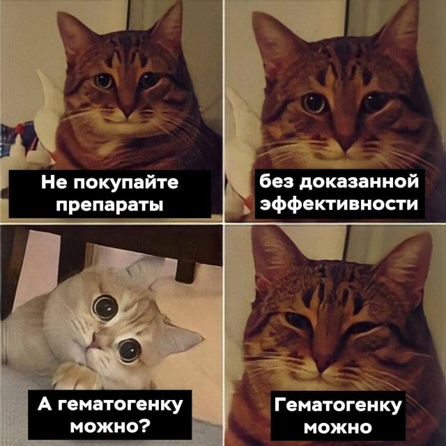 Пандемия съехавших крыш - разновидности болезни. Россия и мир. Часть 42.