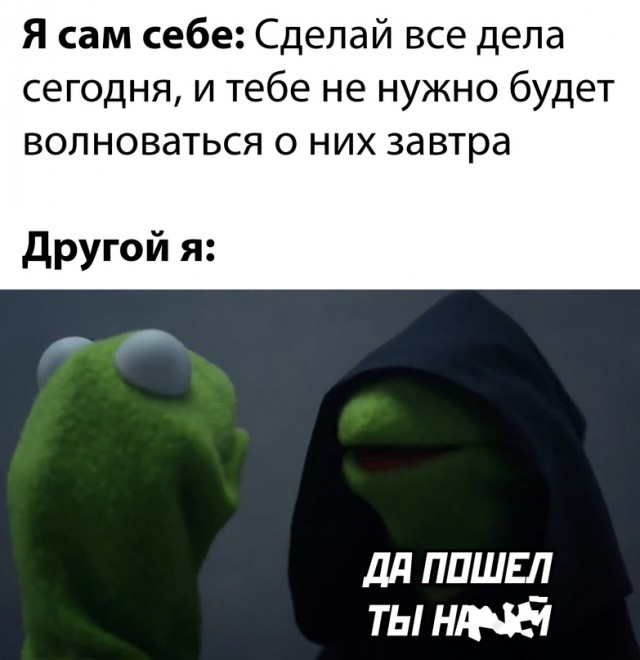 Весёлый полтишок 12.10.22