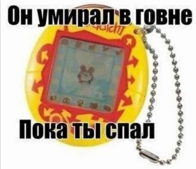 Народная меДИЧна 2012