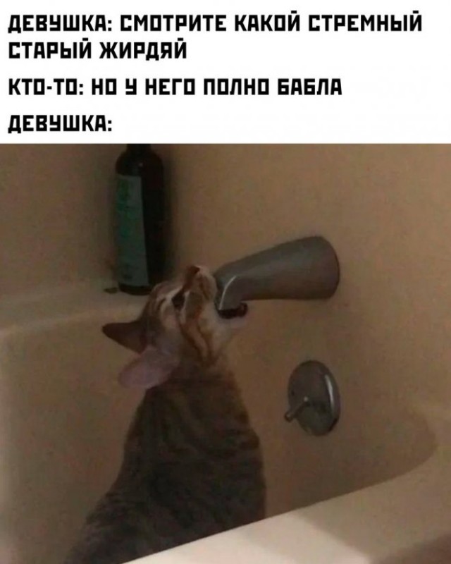 Немного картинок для настроения - 131