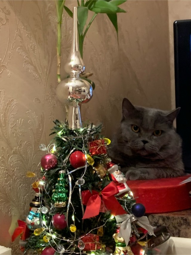 Доброе утро, ЯП