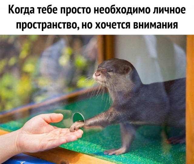 Немного картинок для настроения - 129