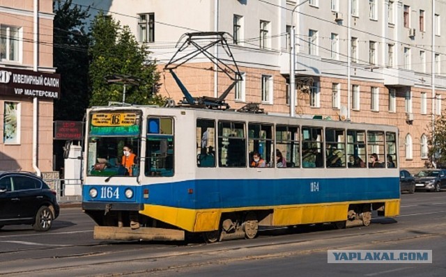 Дачник натравил на петербуржца силовиков из-за сине-желтой крыши