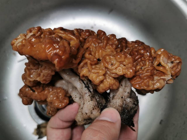 Строчки