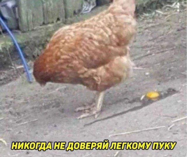 Всего понемногу. От 05.08