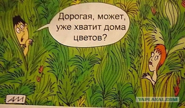Женился на девственнице и пожалел!