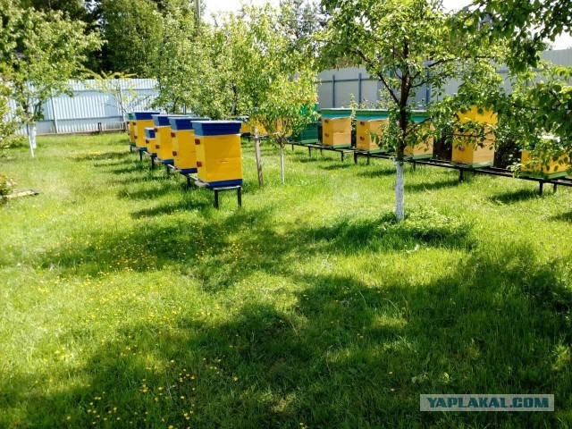Рязань - Сасово из кабины машиниста