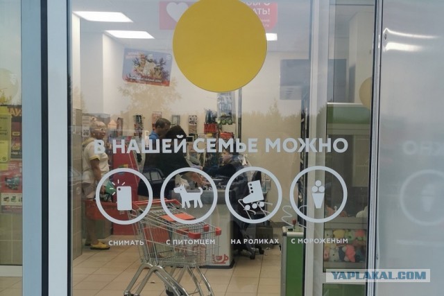 А вот и яркий пример того, что не все готовы находиться рядом не то, что в кафе, даже просто в очереди с чужими собаками.
