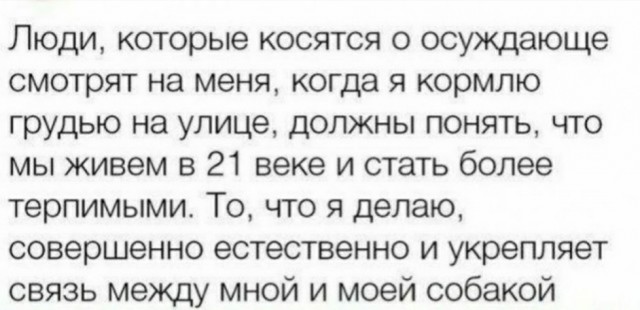 Дристоль два ноль