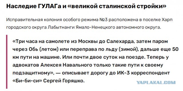 В ОНК подтвердили перевод Навального в колонию за полярным кругом