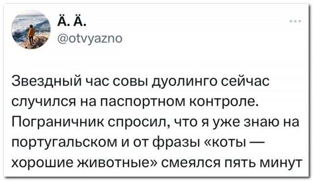 Забавные комментарии из социальных сетей 08.01.24
