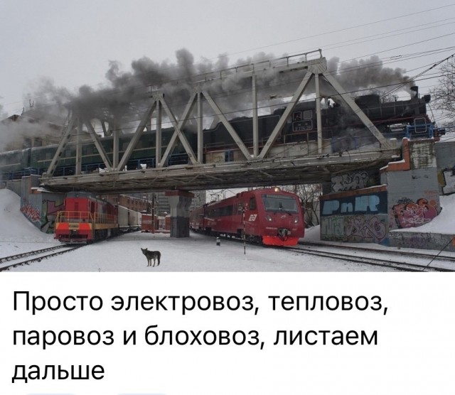 Так себе картинки 16.02.24