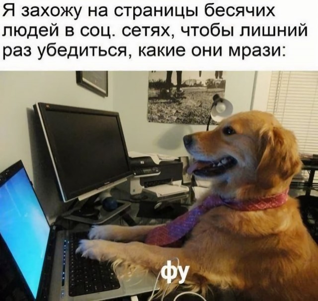 Забавные комментарии из социальных сетей (08.04.24)