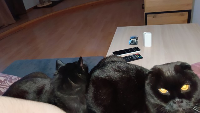 Коть, тебе нормально?