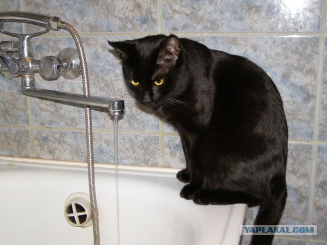 Только у меня так?