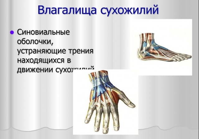 Какое страшное слово