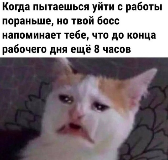 Сегодня отмечается день «Избегай своих обязанностей»